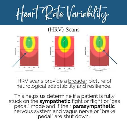 HRV nerve scan results at Circadian Chiropractic in Sarasota